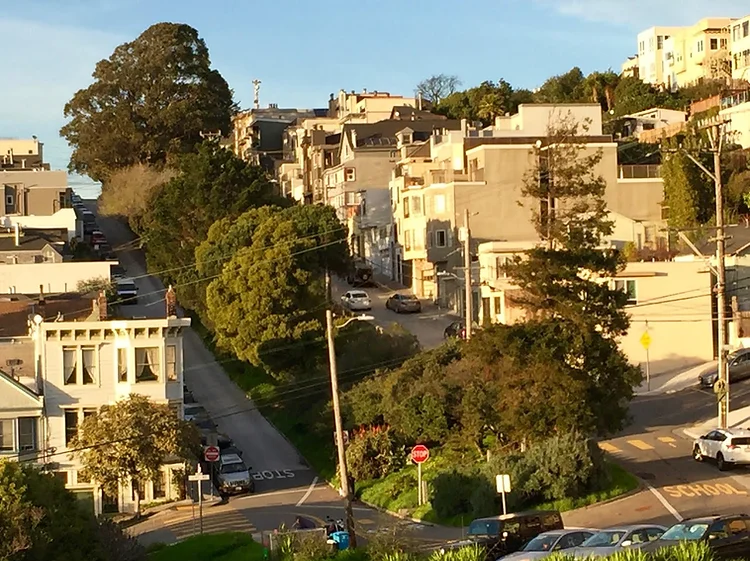 Carolina Street Greenspace