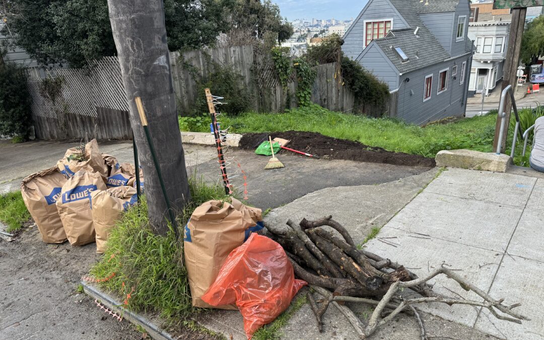 Good Prospect Community Gardens Clean Up