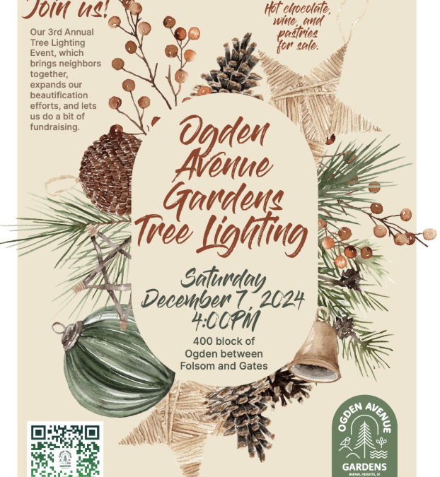 3rd Annual Community Tree Lighting