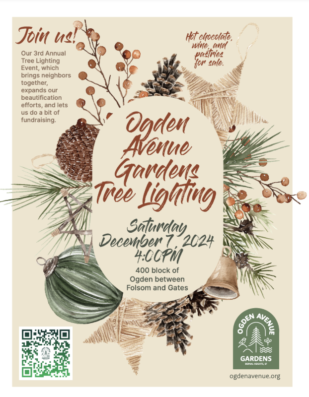 3rd Annual Community Tree Lighting