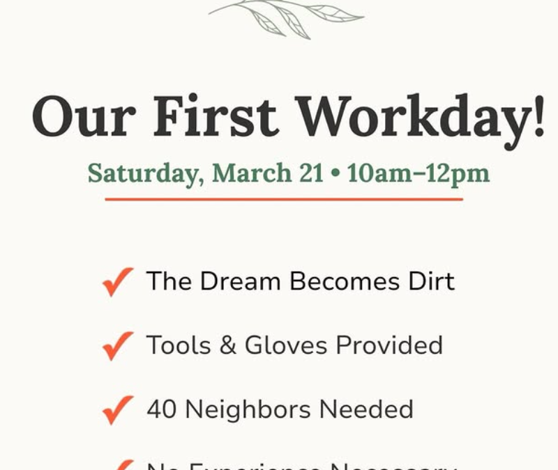 The Friends of Kimbell Community Garden Workday