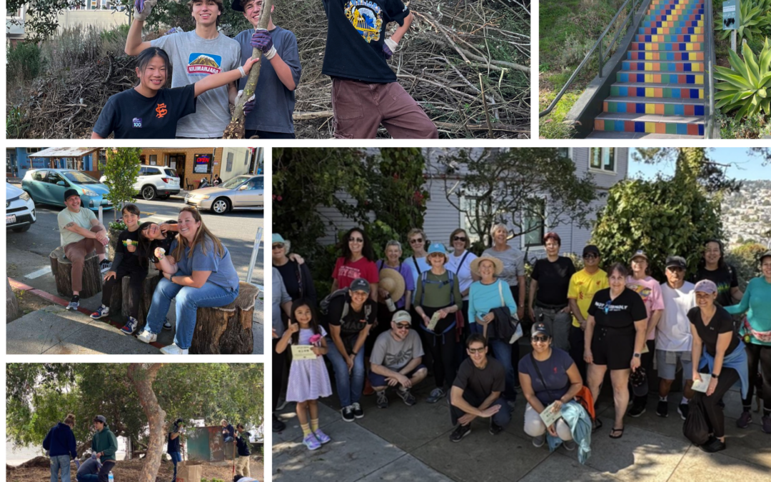 Concrete to Community: Nature Is a Fundamental Right