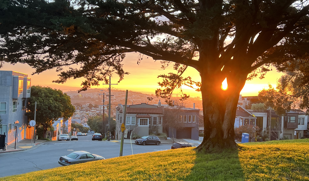 Strategies for Turning Underperforming Assets into Green Spaces