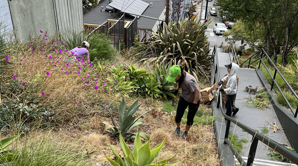 More Than Just Soil: Finding My People in the Garden