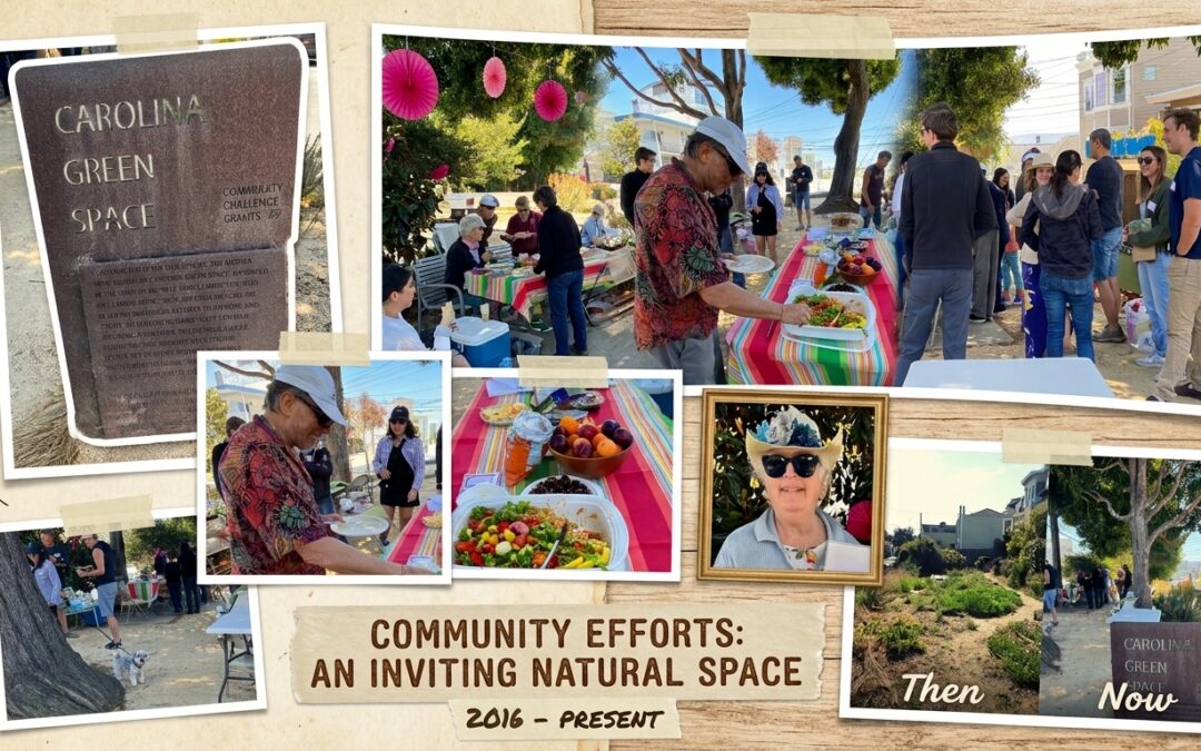 How Volunteer Stewardship Sustains Public Plazas